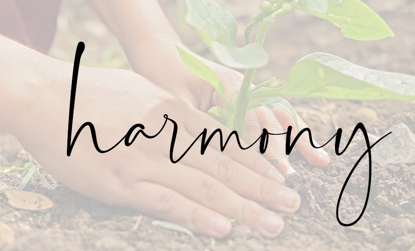Harmony
