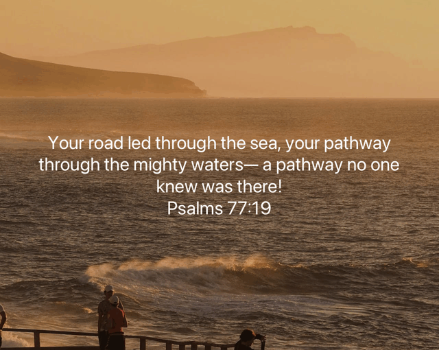 Celebrate before the victory!