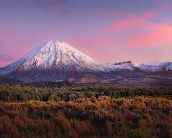 Wisdom found in Awe, not Earth